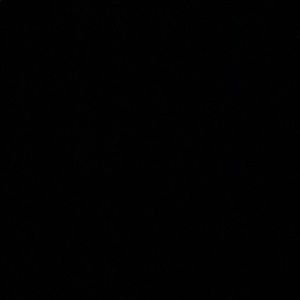 Meet your Posher, Jake